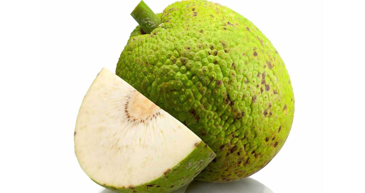 recipe_breadfruit-cou-cou