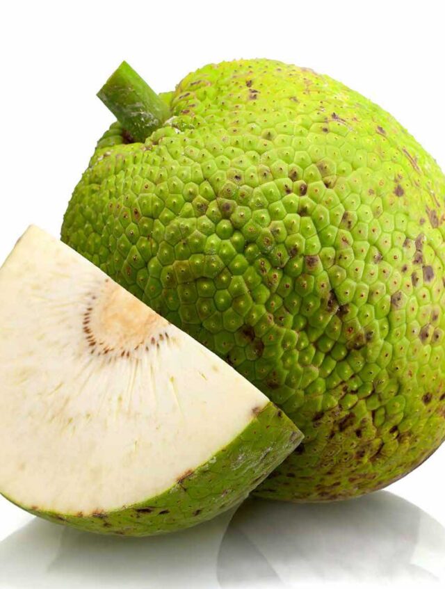recipe_breadfruit-cou-cou